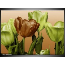 Glas schilderij Tulp | Groen, Bruin, Wit 