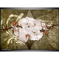 Glas schilderij Orchidee | Goud, Wit, Bruin 