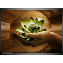 Foto canvas schilderij Bloem | Groen, Bruin 