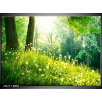 Foto canvas schilderij Natuur | Groen 