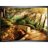 Glas schilderij Natuur | Bruin, Groen 