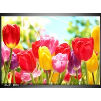 Foto canvas schilderij Tulpen | Rood, Geel, Paars 