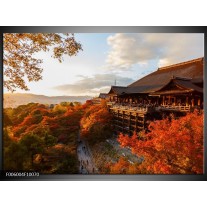 Foto canvas schilderij Natuur | Bruin, Grijs