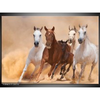 Foto canvas schilderij Paard | Bruin, Wit, Creme 
