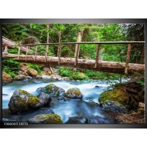 Foto canvas schilderij Natuur | Groen, Grijs 