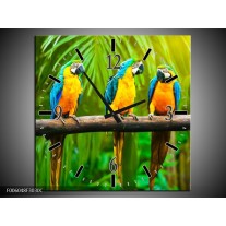 Wandklok op Canvas Vogels | Kleur: Groen, Oranje, Blauw | F006048C