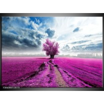 Foto canvas schilderij Boom | Paars, Roze, Grijs 