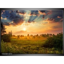 Foto canvas schilderij Natuur | Bruin, Groen 