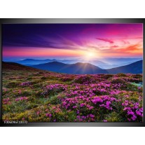 Foto canvas schilderij Natuur | Paars, Roze, Blauw 