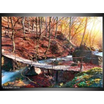 Foto canvas schilderij Herfst | Geel, Bruin 