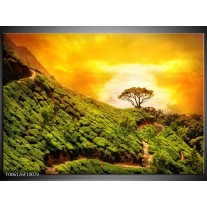 Foto canvas schilderij Natuur | Groen, Oranje, Geel 