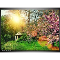 Foto canvas schilderij Natuur | Groen, Paars 