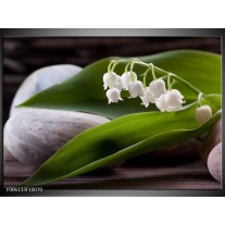 Foto canvas schilderij Bloemen | Groen, Wit, Grijs 