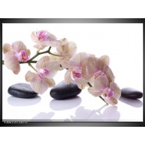 Foto canvas schilderij Orchidee | Wit, Zwart, Roze 