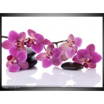 Foto canvas schilderij Orchidee | Paars, Wit 