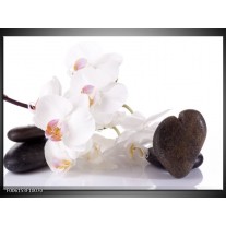 Foto canvas schilderij Orchidee | Wit, Zwart 