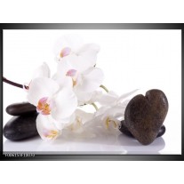 Glas schilderij Orchidee | Wit, Zwart 