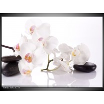 Foto canvas schilderij Orchidee | Wit, Zwart 