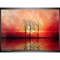 Foto canvas schilderij Abstract | Rood, Geel 