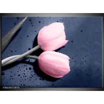 Foto canvas schilderij Tulpen | Roze, Grijs 