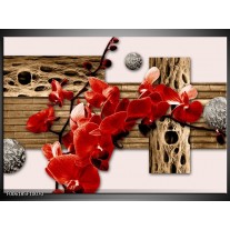 Foto canvas schilderij Orchidee | Rood, Bruin, Creme 