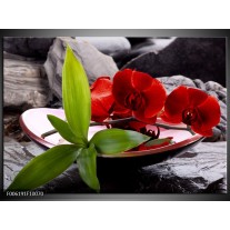 Glas schilderij Orchidee | Rood, Groen, Grijs 