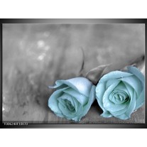 Glas schilderij Roos | Blauw, Grijs