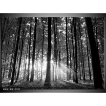 Foto canvas schilderij Natuur | Grijs, Zwart, Wit 