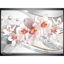 Glas schilderij Orchidee | Grijs, Roze 