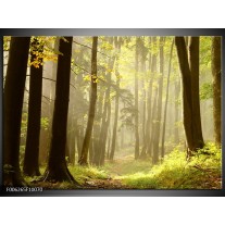 Foto canvas schilderij Natuur | Groen 