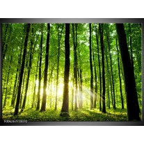 Foto canvas schilderij Natuur | Groen, Geel 