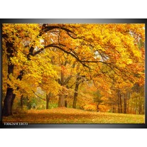 Foto canvas schilderij Herfst | Bruin, Oranje 