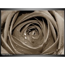 Canvas Schilderij Bloem, Roos | Sepia