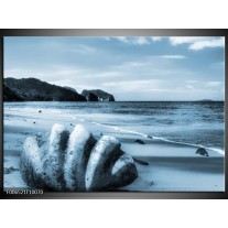 Canvas Schilderij Schelp, Strand | Blauw