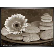 Glas Schilderij Bloem, Stenen | Sepia, Bruin