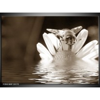 Canvas Schilderij Bloem | Sepia, Bruin