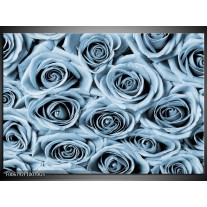 Glas Schilderij Bloemen, Roos | Blauw, Grijs