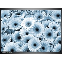 Canvas Schilderij Gerbera, Bloemen | Blauw, Grijs