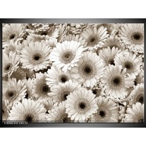 Canvas Schilderij Gerbera, Bloemen | Sepia