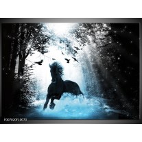 Canvas Schilderij Paard, Dieren | Blauw, Zwart, Wit
