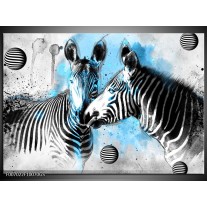 Glas Schilderij Zebra, Dieren | Blauw, Zwart, Wit