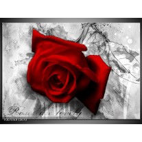 Canvas Schilderij Roos, Bloem | Rood, Zwart, Wit