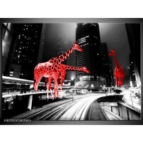 Glas Schilderij Steden, Giraffe | Zwart, Wit, Rood