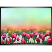 Canvas Schilderij Tulpen, Bloemen | Groen, Roze, Wit