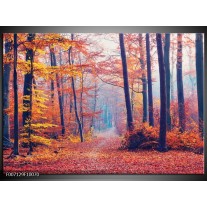 Canvas Schilderij Bos, Herfst | Oranje, Bruin, Grijs