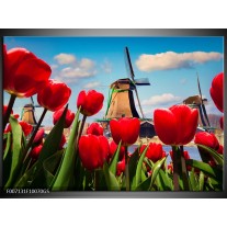 Glas Schilderij Tulpen, Molen | Rood, Blauw, Grijs