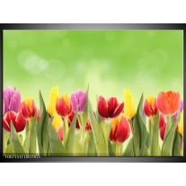 Glas Schilderij Tulpen, Bloemen | Groen, Rood, Geel