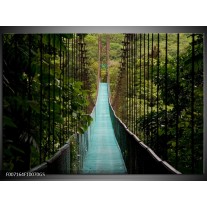 Glas Schilderij Natuur, Brug | Groen, Blauw, Zwart