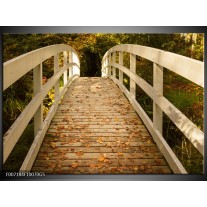 Glas Schilderij Brug, Natuur | Bruin, Oranje, Crème