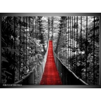 Glas Schilderij Brug, Natuur | Zwart, Wit, Rood